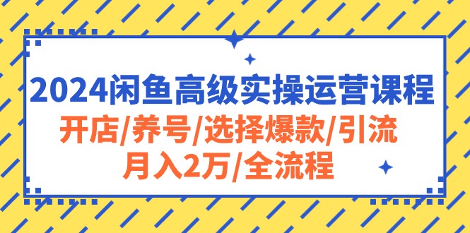 （10711期）2024闲鱼高级实操运营课程：开店/养号/选择爆款/引流/月入2万/全流程-泡芙轻资产网创