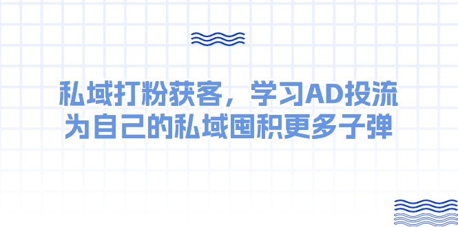（10728期）某收费课：私域打粉获客，学习AD投流，为自己的私域囤积更多子弹-泡芙轻资产网创
