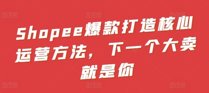 Shopee爆款打造核心运营方法，下一个大卖就是你-泡芙轻资产网创