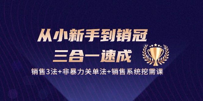 （10799期）从小新手到销冠 三合一速成：销售3法+非暴力关单法+销售系统挖需课 (27节)-泡芙轻资产网创