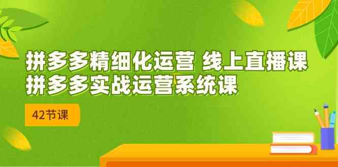 拼多多精细化运营 线上直播课：拼多多实战运营系统课（更新47节）-泡芙轻资产网创