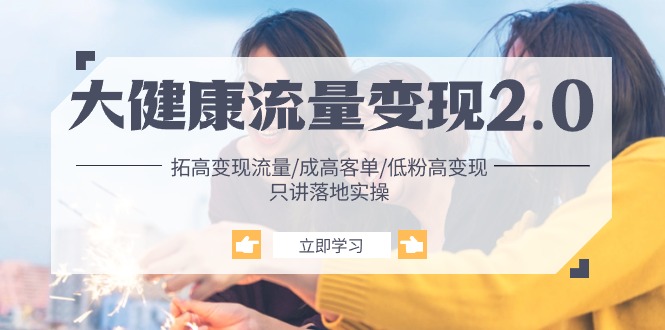 （10871期）大健康 流量 变现2.0：拓高变现 流量/成高客单/低粉高变现/只讲落地实战-泡芙轻资产网创