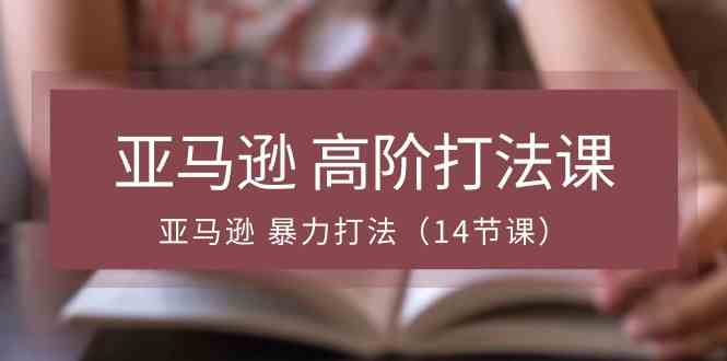 亚马逊高阶打法课，亚马逊暴力打法（14节课）-泡芙轻资产网创