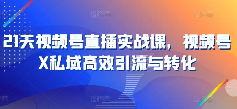 21天视频号直播实战课，视频号X私域高效引流与转化-泡芙轻资产网创