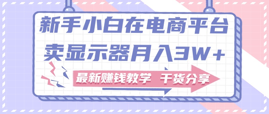 （11053期）新手小白如何做到在电商平台卖显示器月入3W+，最新赚钱教学干货分享-泡芙轻资产网创
