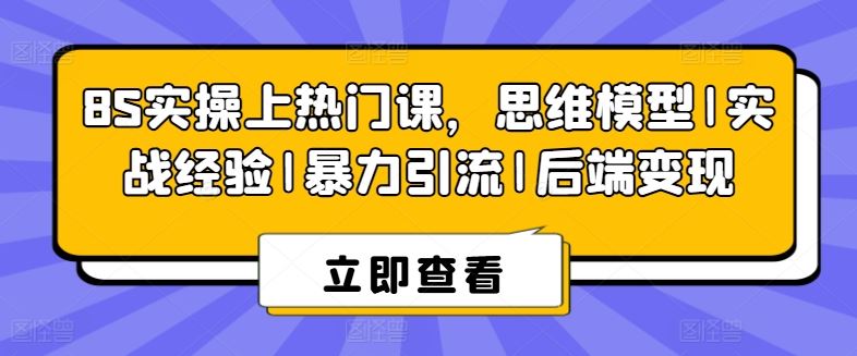8S实操上热门课，思维模型|实战经验|暴力引流|后端变现-泡芙轻资产网创