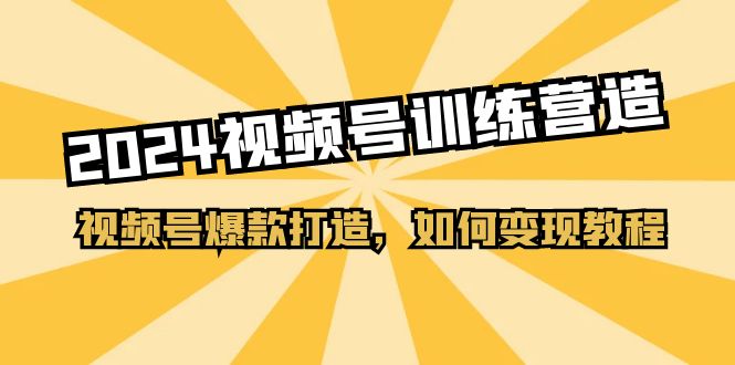 （11135期）2024视频号训练营，视频号爆款打造，如何变现教程（20节课）-泡芙轻资产网创