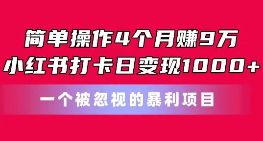 简单操作4个月赚9w，小红书打卡日变现1k，一个被忽视的暴力项目【揭秘】-泡芙轻资产网创