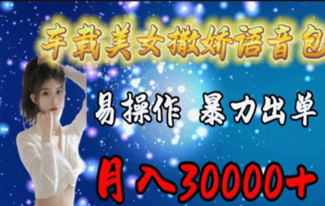 （11249期）车载美女撒娇语音包，执行就出单，月入3000＋，小白看完课程就能马上实操-泡芙轻资产网创