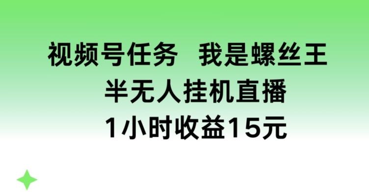 视频号任务，我是螺丝王， 半无人挂机1小时收益15元【揭秘】-泡芙轻资产网创