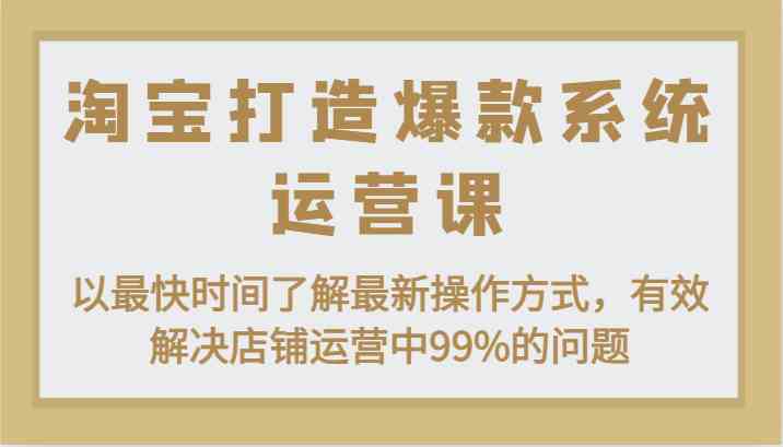 淘宝打造爆款系统运营课：以最快时间了解最新操作方式，有效解决店铺运营中99%的问题-泡芙轻资产网创