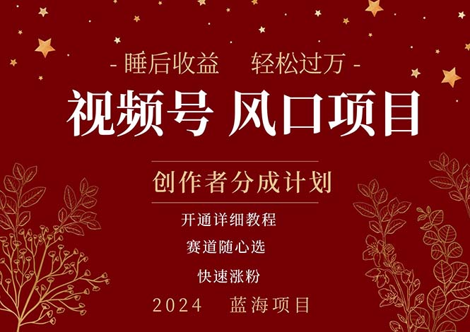 （11331期）拥有睡眠收益的微信视频号大风口项目，轻松月入过万+，多赛道选择，可…-泡芙轻资产网创