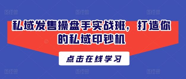 私域发售操盘手实战班，打造你的私域印钞机-泡芙轻资产网创