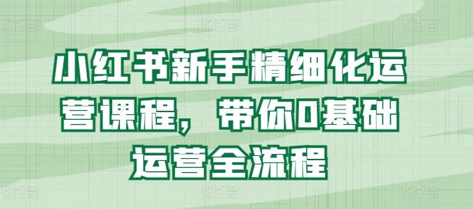 小红书新手精细化运营课程，带你0基础运营全流程-泡芙轻资产网创