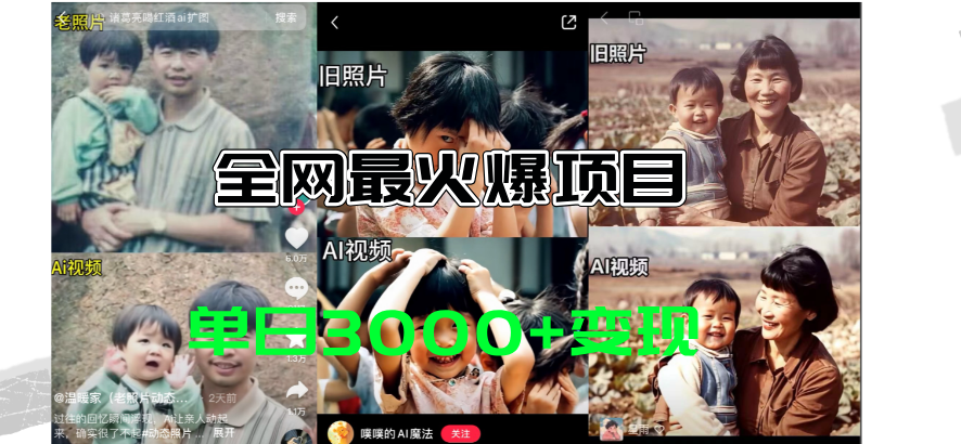 （11546期）全网爆火的AI让老照片动起来教程，蹭热点日赚3000+，内含免费工具一键…-泡芙轻资产网创