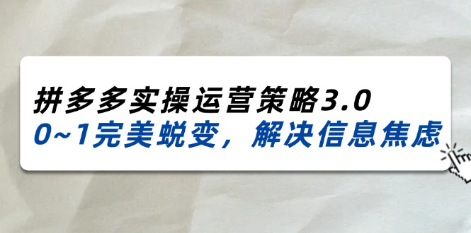 （11658期）2024_2025拼多多实操运营策略3.0，0~1完美蜕变，解决信息焦虑（38节）-泡芙轻资产网创