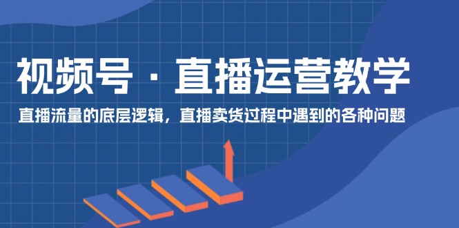 （11687期）视频号 直播运营教学：直播流量的底层逻辑，直播卖货过程中遇到的各种问题-泡芙轻资产网创