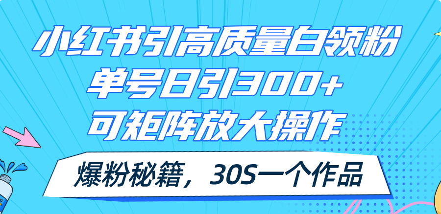（11692期）小红书引高质量白领粉，单号日引300+，可放大操作，爆粉秘籍！30s一个作品-泡芙轻资产网创