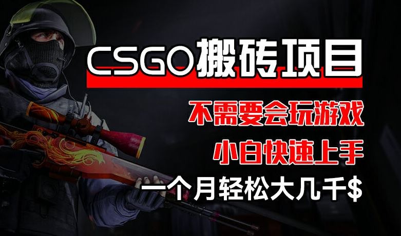 CSGO 装备搬砖项目，操作简单，不需要会玩游戏，小白也能快速上手，一个月轻松大几千【揭秘】-泡芙轻资产网创