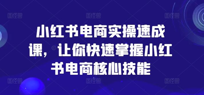 小红书电商实操速成课，让你快速掌握小红书电商核心技能-泡芙轻资产网创