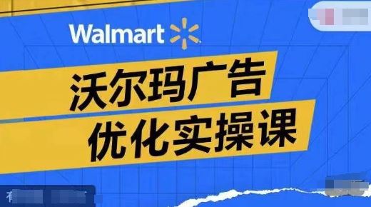 沃尔玛广告优化实操课，广告报告实操讲解，广告如何提高转化和ROAS等-泡芙轻资产网创