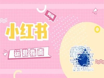 小红书运营指南，没有套路，全是经验-泡芙轻资产网创