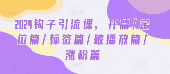 2024钩子引流课，开篇/定位篇/标签篇/破播放篇/涨粉篇-泡芙轻资产网创
