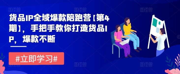 货品IP全域爆款陪跑营【第4期】，手把手教你打造货品IP，爆款不断-泡芙轻资产网创