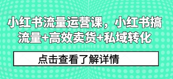 小红书流量运营课，小红书搞流量+高效卖货+私域转化-泡芙轻资产网创