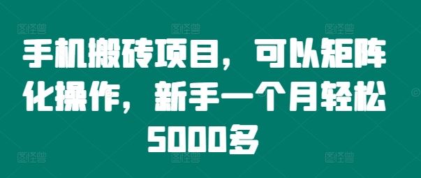 手机搬砖项目，可以矩阵化操作，新手一个月轻松5000多-泡芙轻资产网创