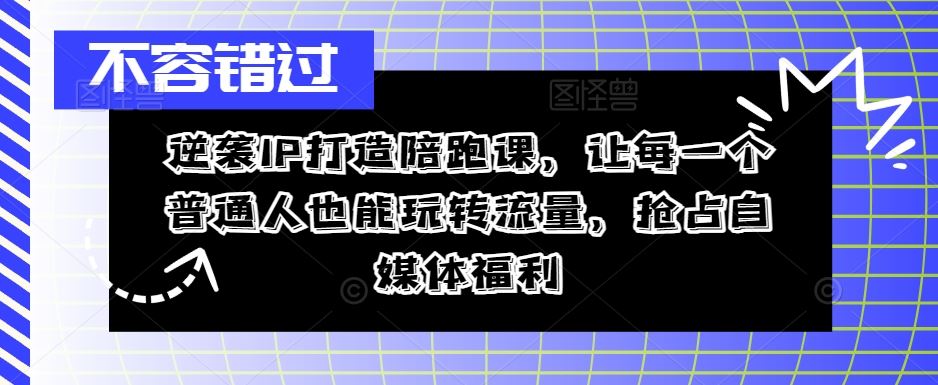 逆袭IP打造陪跑课，让每一个普通人也能玩转流量，抢占自媒体福利-泡芙轻资产网创