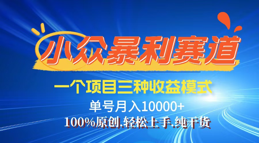 （12579期）【老人言】-视频号爆火赛道，三种变现方式，0粉新号调调爆款-泡芙轻资产网创