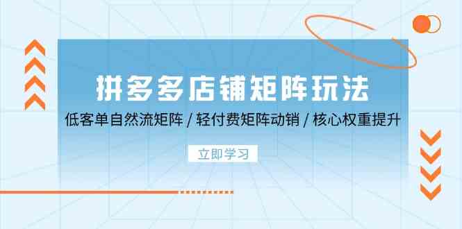 拼多多店铺矩阵玩法：低客单自然流矩阵 / 轻付费矩阵 动销 / 核心权重提升-泡芙轻资产网创