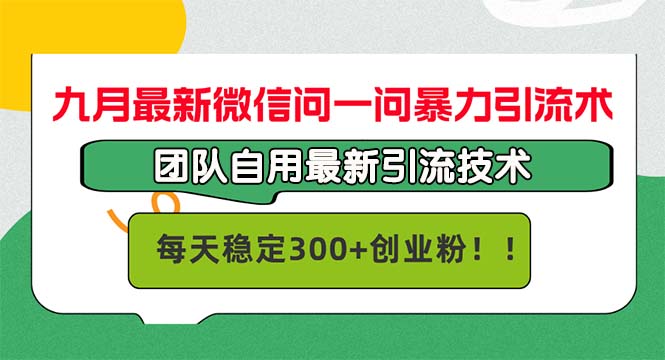 （12735期）九月最新微信问一问暴力引流术，团队自用引流术，每天稳定300+创…-泡芙轻资产网创