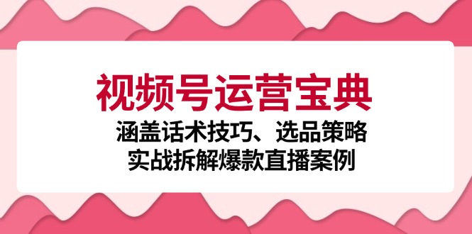 视频号运营宝典：涵盖话术技巧、选品策略、实战拆解爆款直播案例-泡芙轻资产网创