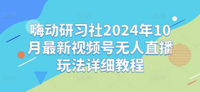 嗨动研习社2024年10月最新视频号无人直播玩法详细教程-泡芙轻资产网创