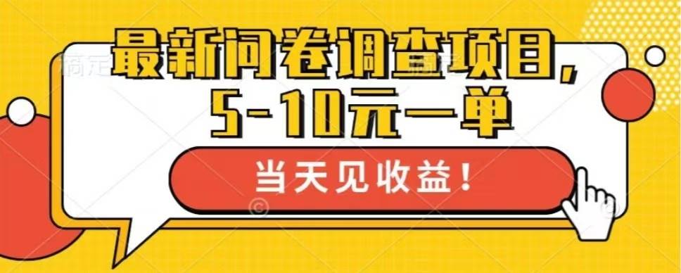 （13167期）最新问卷调查项目，单日零撸100＋-泡芙轻资产网创