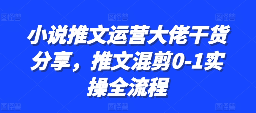 小说推文运营大佬干货分享，推文混剪0-1实操全流程-泡芙轻资产网创