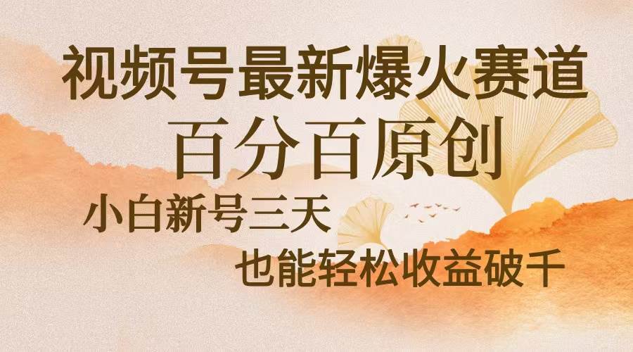 （13225期）视频号最新爆火赛道，中老年粉深信不疑，百分百原创，新号三天收益轻松…-泡芙轻资产网创