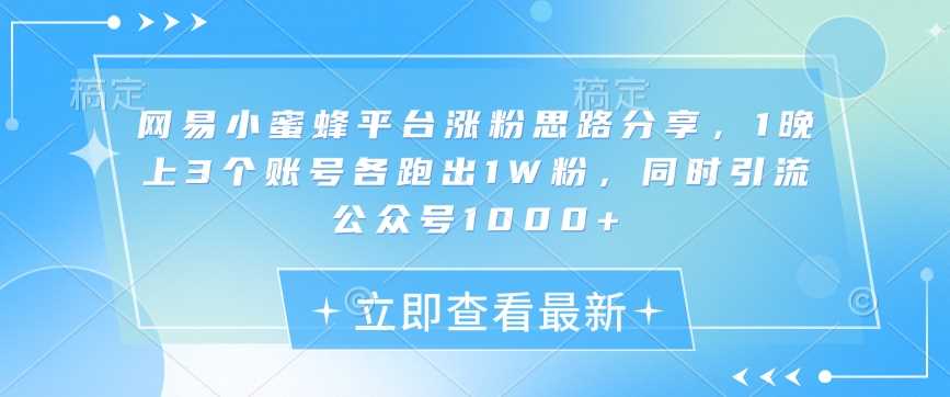 网易小蜜蜂平台涨粉思路分享，1晚上3个账号各跑出1W粉，同时引流公众号1000+-泡芙轻资产网创