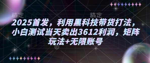 2025首发，利用黑科技带货打法，小白测试当天卖出3612利润，矩阵玩法+无限账号【揭秘】-泡芙轻资产网创